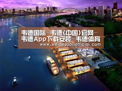 案例展示八
