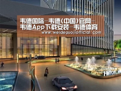 案例展示二