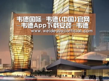 案例展示三