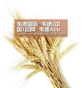 韦德国际-韦德(中国)官网-韦德App下载安装-韦德体育官网