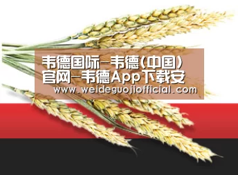 韦德国际-韦德(中国)官网-韦德App下载安装-韦德体育官网