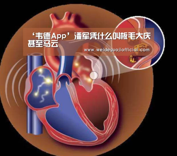 ‘韦德App’潘军凭什么叫板毛大庆甚至马云(图1) 韦德官网