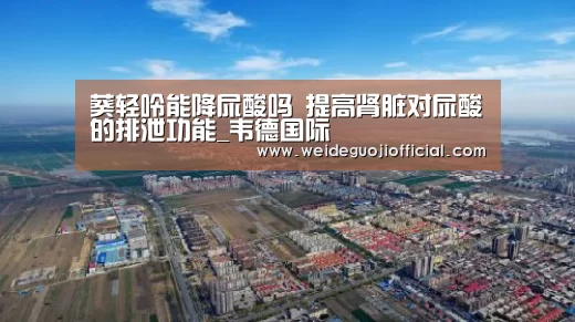葵轻呤能降尿酸吗 提高肾脏对尿酸的排泄功能_韦德国际(图1) 韦德官网