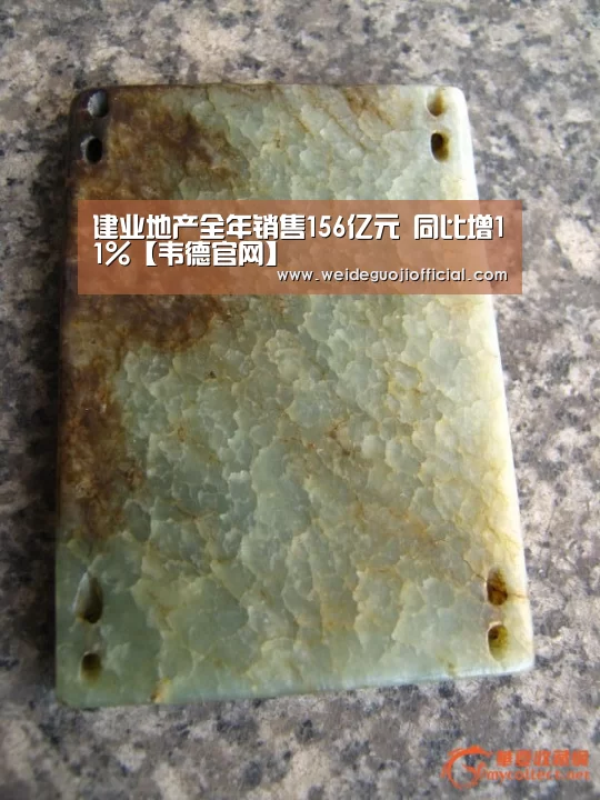 建业地产全年销售156亿元 同比增11%【韦德官网】(图1) 韦德官网